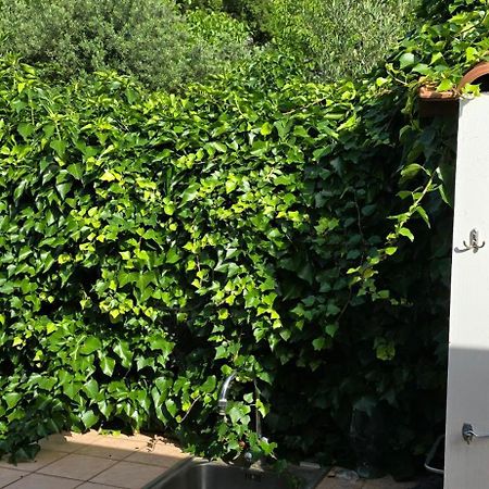Villa Margherita 马拉泰亚 外观 照片